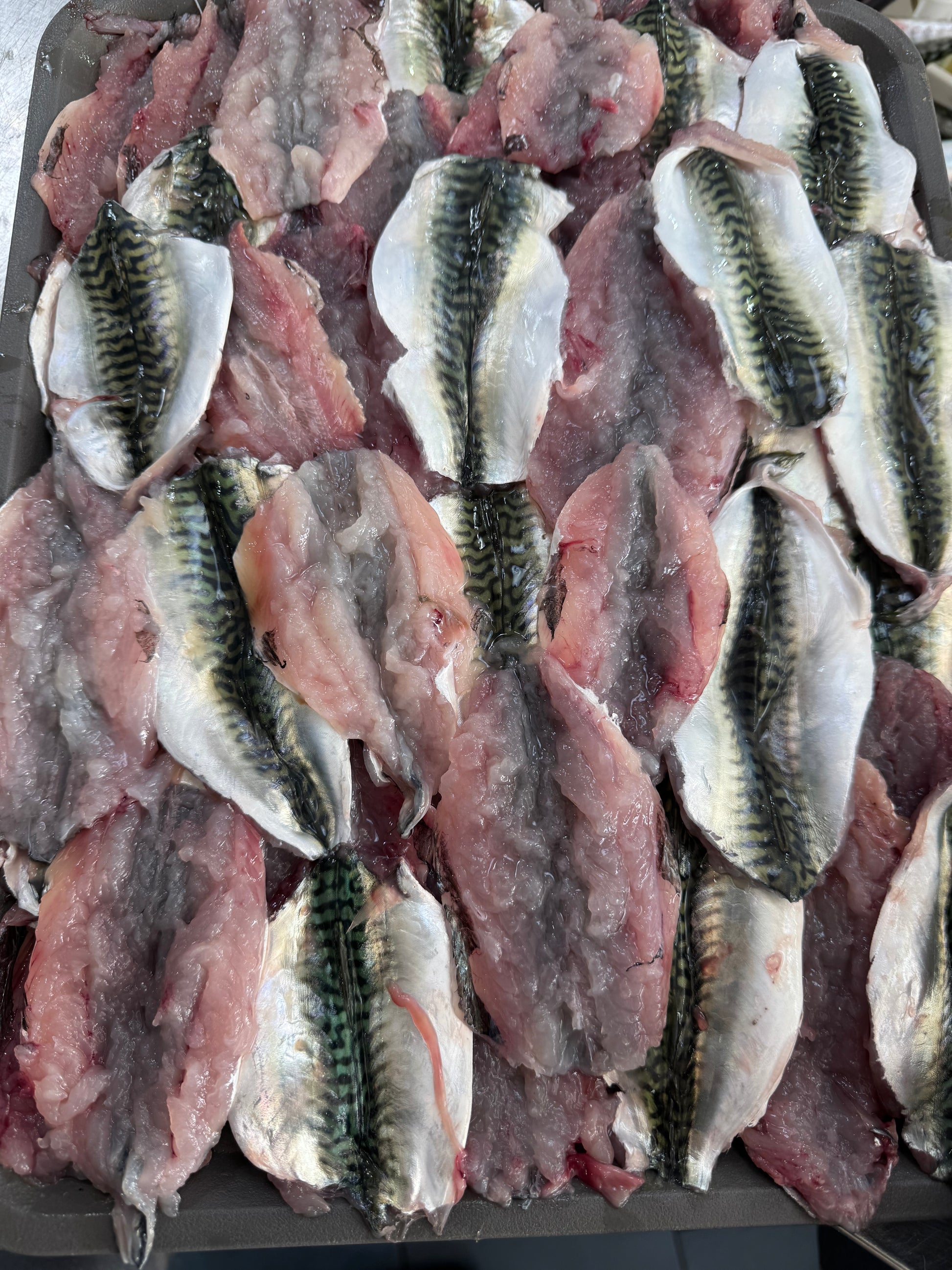 Filetti di sgombro fresco